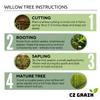 2 Miniature Weeping Willow Tree Cuttings to Grow - Stunning Weeping Branches are a Sight to See - Fast & Easy to Grow - Perfect for Indoor Pots or Outdoor Gardens, Unique Bonsai Gift for Gardeners view 4