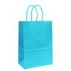 ADIDO EVA 25 PCS Lake Blue Gift Bags Small Paper Bags with Handles for Party Favor (8.2 x 6 x 3.1 in, Light Blue) view 1