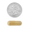 SUREFECT Spring Valley NAC (N-Acetyl Cysteine) 1000mg with Selenium & Molybdenum - Antioxidant Support - 100 Vegetarian Capsules Organizer. view 4