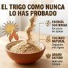 El Molino de Elba (1 Lb) | Gofio canario de trigo | Producto 100% Natural | Importado desde Espaa | Sabor Tradicional | Fuente de Energa | Contiene Gluten. view 2