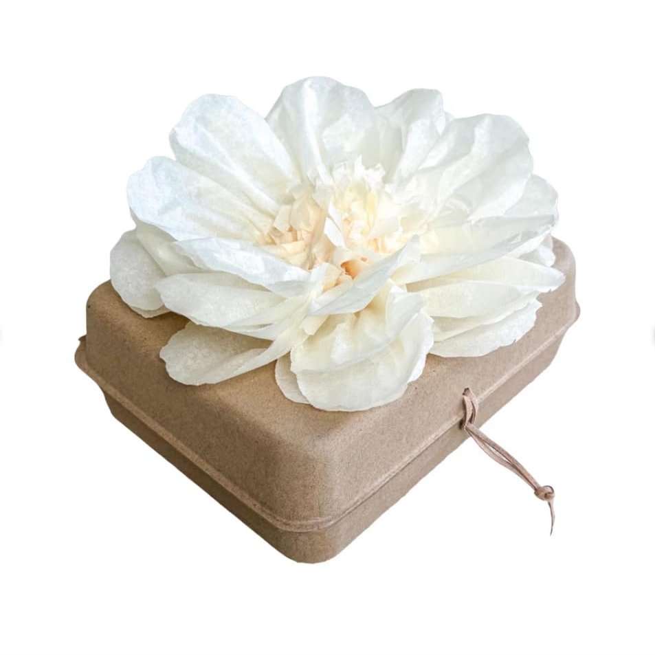 Biodegradable Water Burial Urn Kit - Cruise Approved | Ocean Ashes Scattering Ceremony with Certificate | Eco-Friendly Memorial Urn. (Large)