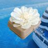 Biodegradable Water Burial Urn Kit - Cruise Approved | Ocean Ashes Scattering Ceremony with Certificate | Eco-Friendly Memorial Urn. (Large) view 2