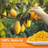 6.3 Oz Premium Freeze-Dried Diced Mango, Natural Crunchy Fruit Snack with Low Calories, Rich in Dietary Fiber, Freeze-Dried Mango Pieces for Kids, Travel, Smoothies, Yogurt, Baking, Healthy Snack view 2
