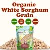 Food to Live Organic Great Plains White Sorghum Grain, 20 Pounds Whole Ancient Groats. High Fiber. No-GMO. Raw Milo Seeds. Vegan, Kosher, Bulk view 3