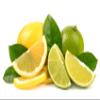 ProHydration - Creatine Electrolyte Packets - Sugar Free Electrolytes - 5g Creatine Monohydrate Powder- Lemon Lime - 15 Stick Pack view 3