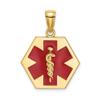 10k Yellow Gold Medical Alert Pendant with Star of Life and Raised Caduceus Symbol, Hexagon Emergency ID Charm for Health Identification, Unisex Medical Necklace or Emergency Jewelry Tag view 1