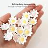 144 Count Edible Daisy Cake Decorations, Mini Edible Flowers, White & Pink Sugar Flowers, Daisy Cupcake Toppers for Cakes & Cupcakes, Edible Cake Decorations, Global Sugar Art (3/4 Inch) view 2