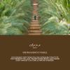 Bateel | Palm Gift Set | Plain Dates | Small| 12.5 oz view 4