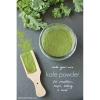 24 Pure Kale Powder - 50g | Organic Green Superfood | Natural Vitamins & Minerals | Non-GMO, Vegan & Gluten-Free view 3