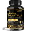 NATURE TARGET Shilajit | Shilajit for Men & Women | Fulvic Acid & Trace Minerals | 500mg Maximum Potency Better Than Shilajit Resin | 120 Capsules view 1
