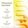 Auric Flush365 | Fizzy Drink | Honey Lemon Flavour | No Added Sugar | 60 Counts view 3