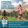 2 Packs 3000MG Liposomal Lymphatic Drainage Drops, 12 in 1 Organic Lymphatic Drainage Supplements with ElderBerry, Burdock Root, Cleavers Herb & Echinacea, Lymphatic Cleanse Immune Support, 4 Fl oz view 4