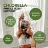Sun Chlorella Powder Green Superfood Algae - Chlorophyll, Chlorella Growth Factor, Active B12 & Iron Supplement Drink Mix - Pulverized Cell Wall - Non-GMO, Vegan & Gluten-Free - 10 Packets (3g ea) 30g view 2