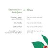 NineLife Basics Aloe Vera + Amla Juice | Cold-pressed Juice for Glowing Skin | Helps with Metabolism (1L) view 4