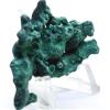 105ct 2.2" Fibrous Green Malachite Rough Cluster Collectible Natural Gemstone Crystal Mineral Specimen - Congo view 2