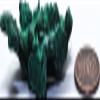 105ct 2.2" Fibrous Green Malachite Rough Cluster Collectible Natural Gemstone Crystal Mineral Specimen - Congo view 4