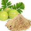RG Amla Powder, Nellikai,50g, Amalaki, Emblika Officinalis, Indian Gooseberry Powder for Face & Hair,(Pack of 1 x 50g) view 1