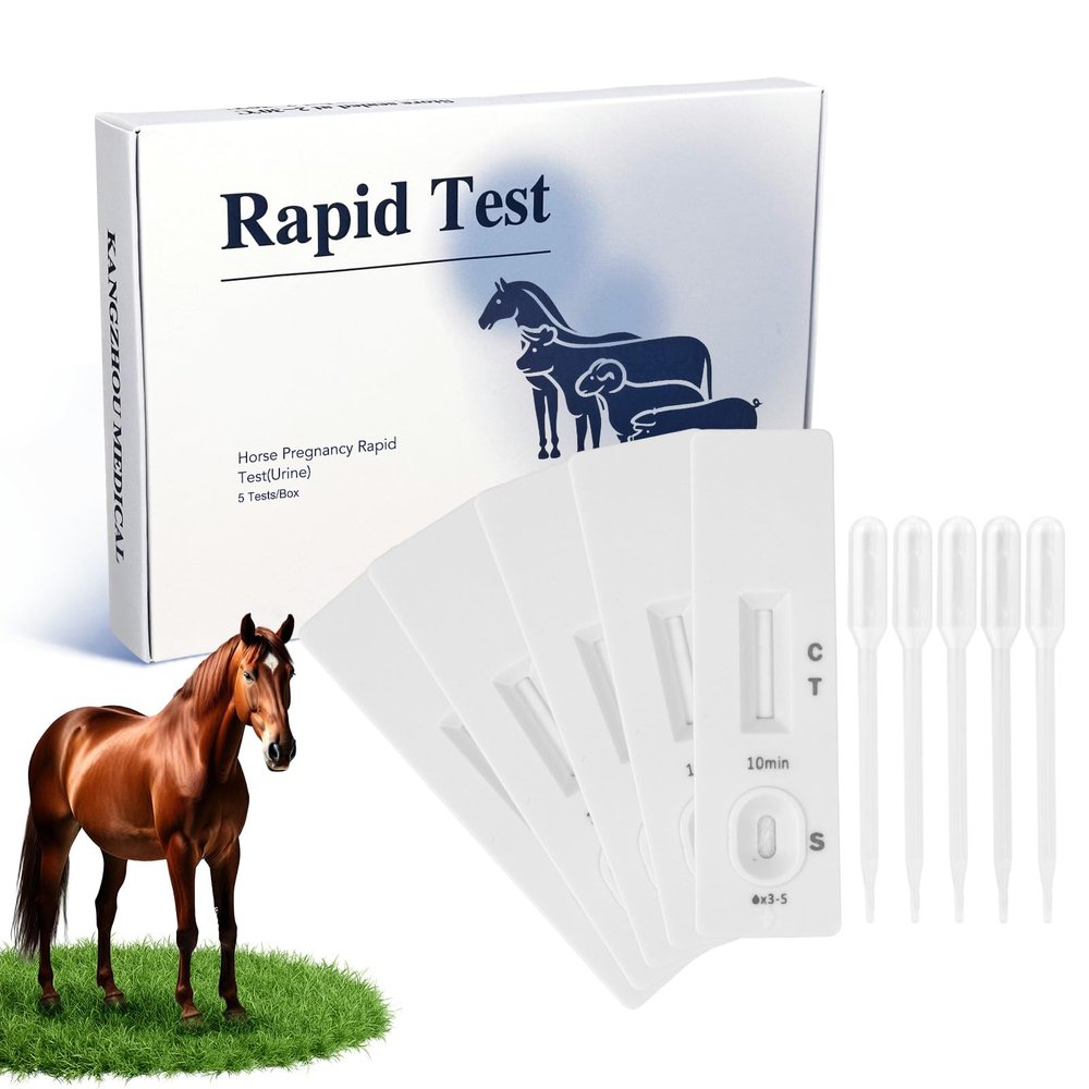 PawsXfun Horse Pregnancy Test Kit - 5 Rapid Urine Test Strips for Mares