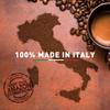 100 Italian Coffee for Espresso Lovers Aluminium Capsules compatible with Original Line Nespresso machines (1 Count (Pack of 100), Aluminum Brasil) view 4