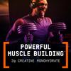 BEYOND RAW LIT V2 Clinical Strength Pre Workout Powder, Hits Harder, Bigger Pumps, Caffeine, L-Citrulline, Creatine, Apple Crisp, 30 Servings view 4