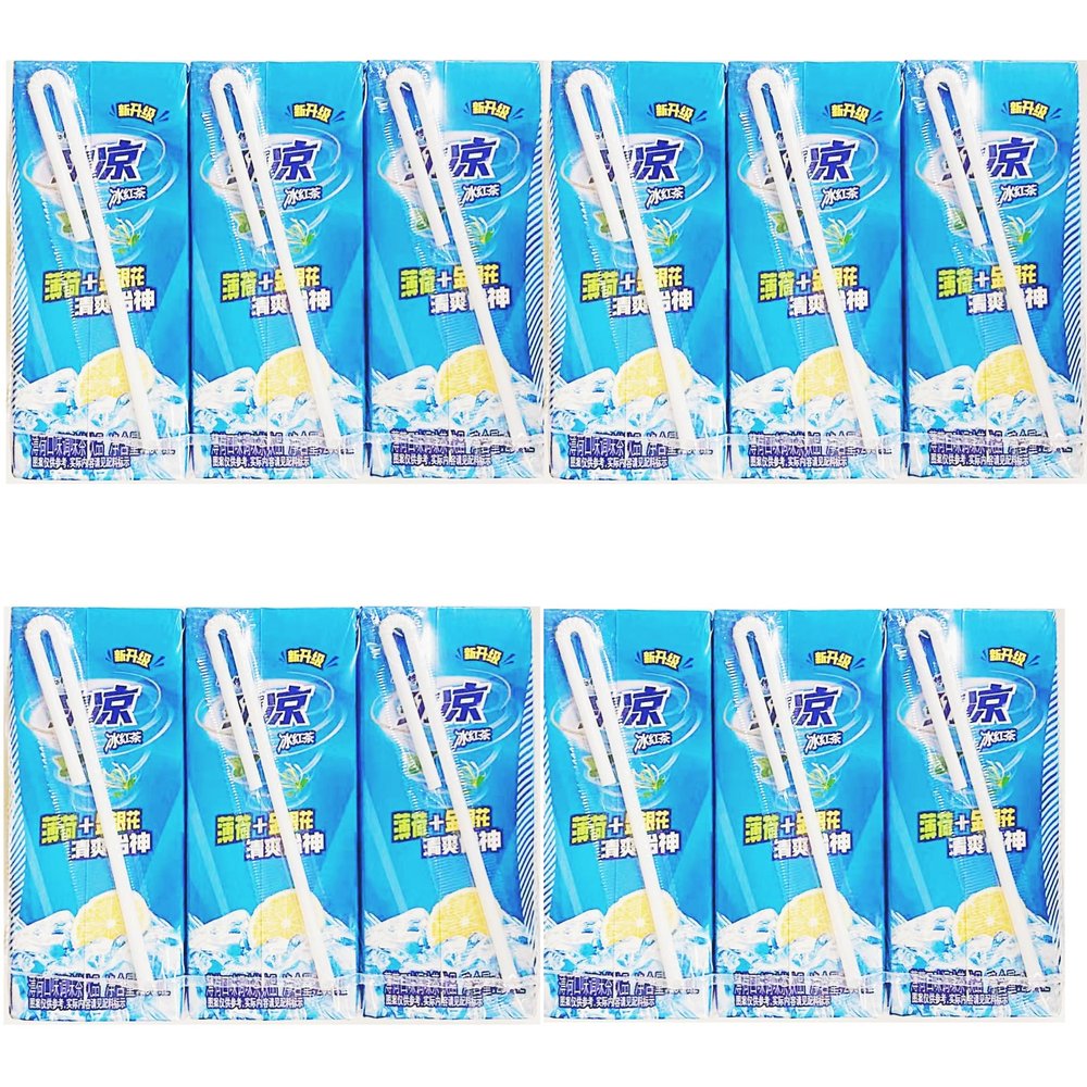 Cool And Refreshing Ice Tea Drink,Mint And Honeysuckle Flower Flavored, 250ml,Pack of 12
