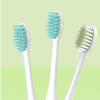 Electric Toothbrush Accessory Toothbrush Head. Compatible for Philips HX242BHX242LHX242MHX242PHX242WHX2431HX2432/02HX243BHX243L(4-Blue 4-Green) view 2