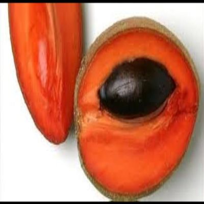 Replacement organic Mamet sapote fruit (set of 2) fresh pouteria sapota- perfect for smoothies deserts and meals grown in USA.