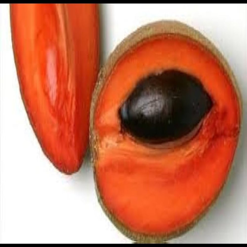 Replacement organic Mamet sapote fruit (set of 2) fresh pouteria sapota- perfect for smoothies deserts and meals grown in USA.