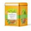 Life Plus Style Gourmet The Secret Garden Organic Pineapple Green Tea Premium Naturally Caffeinated Tropical Fruit Daily USDA Certified Green Tea Non GMO Herbal 50 Tea Bags Gift Tin Enjoy Hot or Iced view 1
