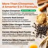5-in-1 Ceylon Cinnamon Powder Extra Strength Organic Ceylon Cinnamon Capsules with Turmeric, Apple Cider Vinegar, Korean Ginseng & BioPerine for Metabolism & Energy Support Pills (120 Ct, 2 Pack) view 3