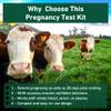Bovine Pregnancy Test Kit - Includes 5 Tests, Rapid Results in 5-20 Minutes for Dairy & Beef Cows, Whole Blood, Serum & Plasma-Based Tests view 4