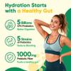 Venture Pal 2-in-1 Hydration Packets + Gut Health Electrolytes Powder - 7 Electrolytes & 5 Vitamins, Probiotics - Sugar Free Liquid Daily IV Drink Mix for Dehydration Relief | Non-GMO | 16 Sticks view 4