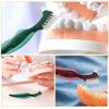 Didiseaon 6pcs Denture Cleaning Brush: Dual Head Denture Toothbrush for Seniors Portable False Teeth Care Gum Massaging Tool for Travel view 3