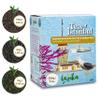 Lazika Mixed Premium Black Loose Leaf Tea Blend, 5.3 Oz, Breakfast Tea with Petite Presentatiton Box, Early Harvest, Handcrafted view 3