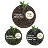 Lazika Mixed Premium Black Loose Leaf Tea Blend, 5.3 Oz, Breakfast Tea with Petite Presentatiton Box, Early Harvest, Handcrafted view 4