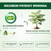 Novafun Organic Moringa Capsules 1000mg, 10:1 Leaf Extract Supplement with Turmeric & Black Pepper for Energy, Antioxidant, Immune Support, Vegan, 60 Capsules view 3
