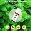 GM Gumili Spearmint Essential Oil for Facial Hair, Diffuser & DIY Blends view 3