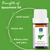 GM Gumili Spearmint Essential Oil for Facial Hair, Diffuser & DIY Blends view 4