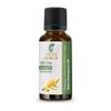 Sheer Essence Essential Oil, Pure Natural Aromatherapy Oil for Diffuser, Massage, Skin, Home Use, 1 fl oz (Red Champaca) view 1