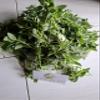 Amaranthus spinosus Dried Leaves (450 Gram) view 3