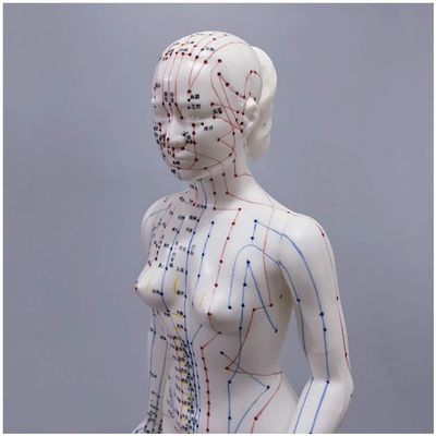 GFAZXDS Acupuncture Model - Female Acupuncture Model of Human Body with Meridian Points - 48Cm Human Meridian Model Acupuncture Acupoint - for Meridian Massage Teaching