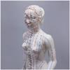 GFAZXDS Acupuncture Model - Female Acupuncture Model of Human Body with Meridian Points - 48Cm Human Meridian Model Acupuncture Acupoint - for Meridian Massage Teaching view 1