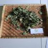 Daun Tembelekan (Lantana Camara) Shrub Verbena Dried Leaves (450 Gram) view 4