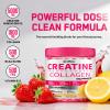 Creatine for Women, 5000mg Creatina Monohidratada Gummies with Collagen + BCAA Chews for Muscle Recovery, Boost Endurance, Flavored Pre-Workout Supplement, Sugar-Free, No Bloating, 4 Gummies Per Day view 3