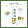 Purest Electrolyte Organic Ginger LimeAid Hydration Powder Packets with Solar Sea Salts & Organic Freeze-Dried Fruit for Instant Hydration, No Added Sugar Electrolytes, 26 Packets view 3