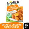 Salutem Vita Cheesy Indulgence Frozen Snack Box Mozzarella, Cheddar Bites & Curds,18 oz, Gift Set Pack of 3 view 3