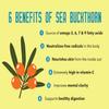 10.58oz Pure Dry Sea Buckthorn Powder | Dry Sea Buckthorn Berries | Rich in Fiber, Omegas, Vitamin C, (300gm) view 3