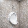Waterless Urinal With Hose And Flush Valve Wall Mounted Plastic Urinals Commercial Urinals Universal Washout High Efficiency Urinal Outdoor Bathroom Urinals Garage Urinals(Urinal+Hose+Flush Valve) view 1