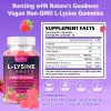 BVIVLOO L-Lysine 1000mg Gummies for Immune Support & Skin Health - High Potency Vegan, Sugar-Free, Gluten-Free Supplement with Natural Raspberry Flavor for Adults & Kids - 120 Gummies view 2