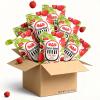 Freeze Dried Lychee Fruit Snack Box- 20g10 bags, Only Lychees | No Sugar Added | Freeze Dried Crispy Fruit Chips for Home Office Party Hiking (10-Pack, Lychee) view 1